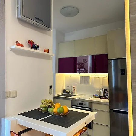 公寓 Urban Vracar Centar - 贝尔格莱德