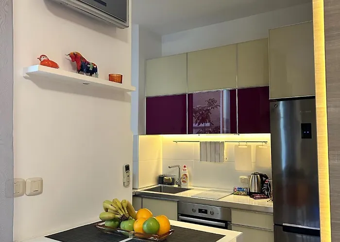 Apartment Urban Vracar Centar - Belgrade