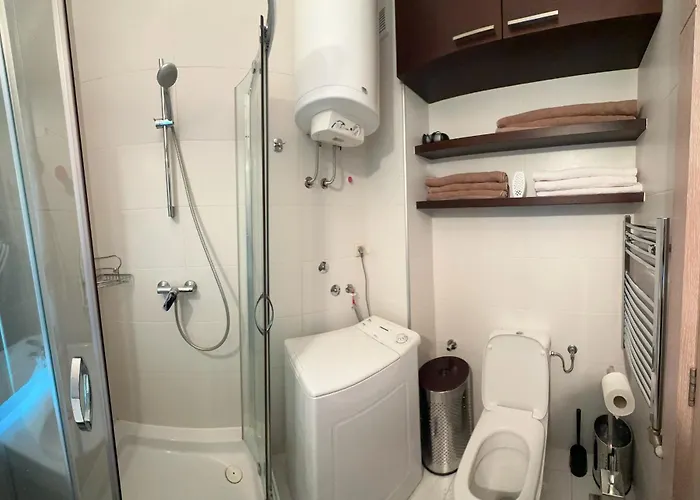 Apartment Urban Vracar Centar - *